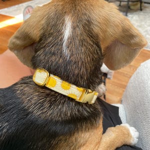 Amanda added a photo of their purchase