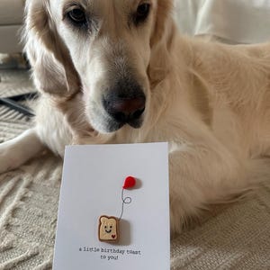 Nisi heeft een foto van de aankoop toegevoegd
