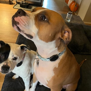 Dave added a photo of their purchase