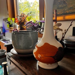 shannon added a photo of their purchase