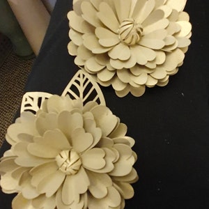 Judith added a photo of their purchase