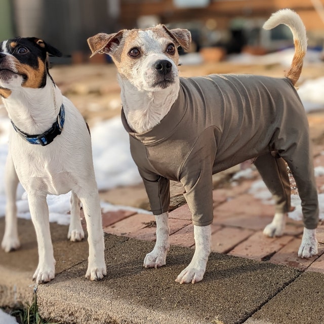 DoggieDirtShirt Etsy