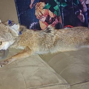 Lucy added a photo of their purchase