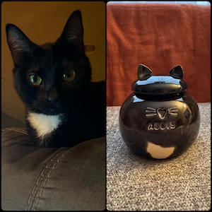 Ambria added a photo of their purchase