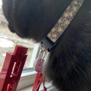 Laura added a photo of their purchase