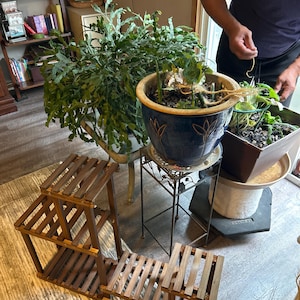 brooke added a photo of their purchase