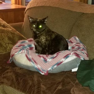 Werecat さんが購入した商品の写真を追加しました