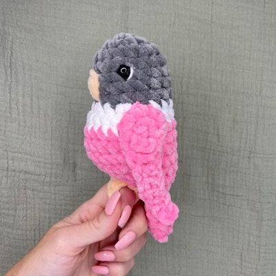 Parakeet Crochet Pattern Etsy