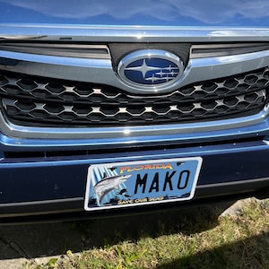Targa Personalizzata Florida Sharks Save Our Seas – Targa Frontale Auto Con Testo Aggiuntivo