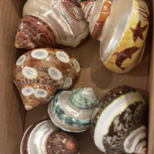 Stacey added a photo of their purchase
