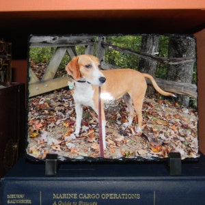 Sara added a photo of their purchase