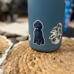 Lisa ha añadido una foto de su compra