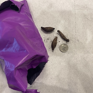 kay ha añadido una foto de su compra