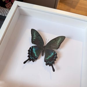 Céline hat ein Foto des gekauften Artikels hinzugefügt