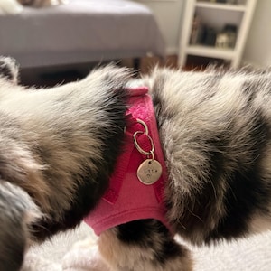 Susan added a photo of their purchase