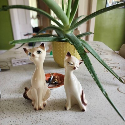 Set of 2 Vintage Nude Asian Women Black & White Photographs 19 1237 - Etsy