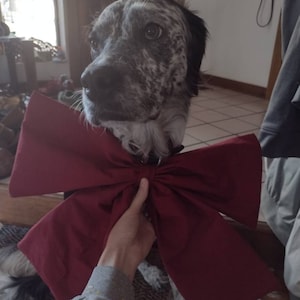 Tallie a ajouté une photo de son achat