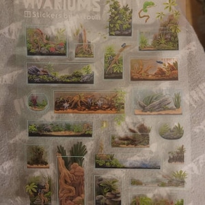 Kat added a photo of their purchase