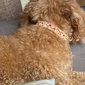 daisy added a photo of their purchase