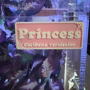 Kayla added a photo of their purchase
