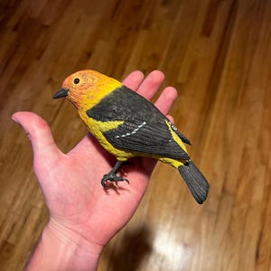 Vermont ha añadido una foto de su compra