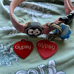 Beth adicionaram uma foto da sua compra