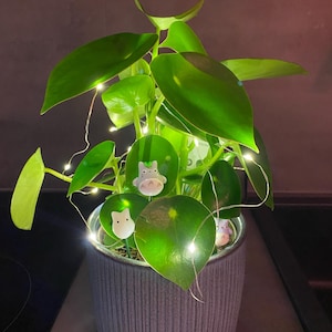 Carolin added a photo of their purchase