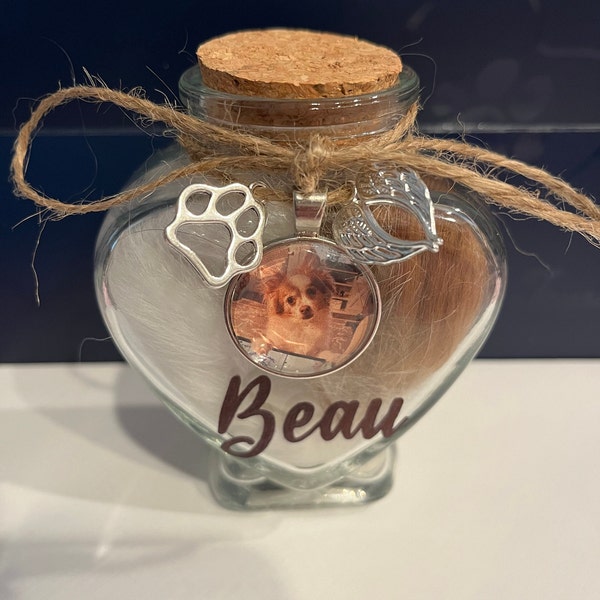 2-Piece Pet Hair Memorial Glass Bottle Set – Paw Pendant Keepsake Jar For Ashes, Teeth & Pet Loss Remembrance