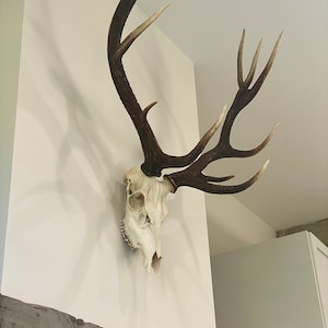 Kïrsten added a photo of their purchase