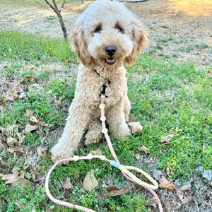 Kelli added a photo of their purchase