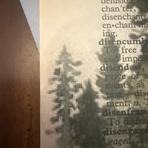 Lauren ha aggiunto una foto del proprio acquisto