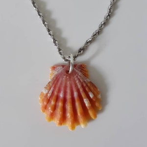 Hawaiian Orange Sunrise Shell Seashell Jewelry Bulk Hawaii - Etsy