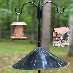 Teresa added a photo of their purchase