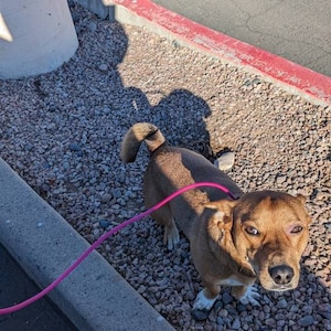 ashley added a photo of their purchase