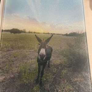 Etsy buyer added a photo of their purchase