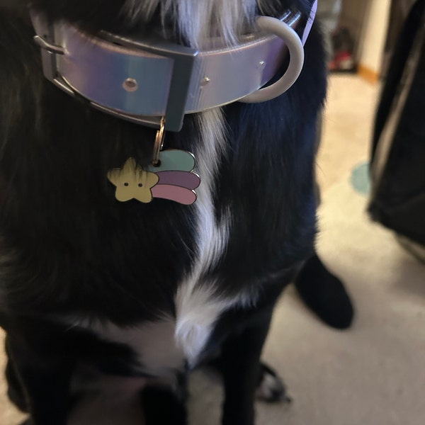 Round Dog ID Tag With Shooting Star Icon