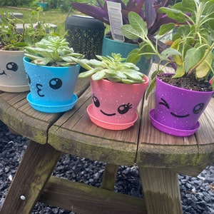 Emily added a photo of their purchase