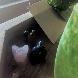 Krista added a photo of their purchase
