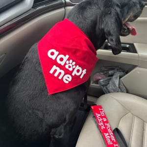 Savannah added a photo of their purchase