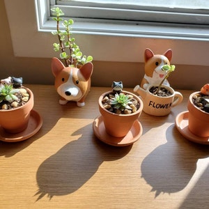 Mary added a photo of their purchase