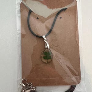 Ray added a photo of their purchase