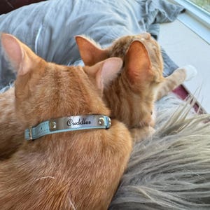 Yamile added a photo of their purchase