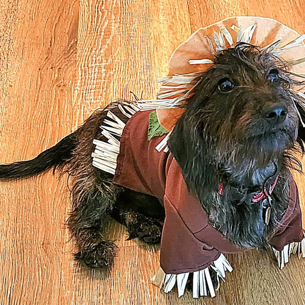 Vogelscheuchen-Hut Für Hunde – Lustiges Halloween-Kostüm Für Haustiere