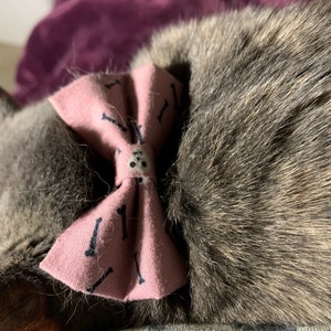 Jessy added a photo of their purchase