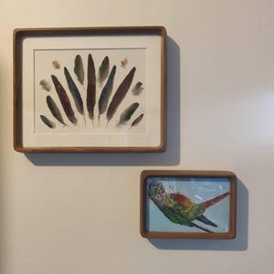 Kimberley added a photo of their purchase