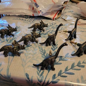 Rachel added a photo of their purchase