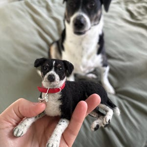 Whittney added a photo of their purchase