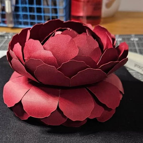 DSLSQD 8 Plantillas De Flores, Plantillas De Vid De Flor De Cerezo