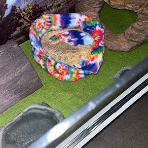 Amy added a photo of their purchase