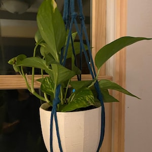 Q added a photo of their purchase